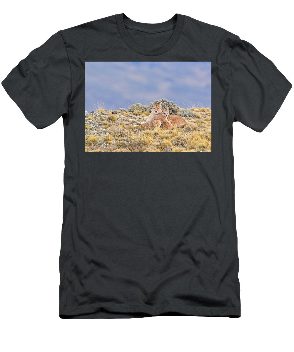 1 a Puma Mother and Two of Her Kittens Patagonia Jim Coda T-Shirt