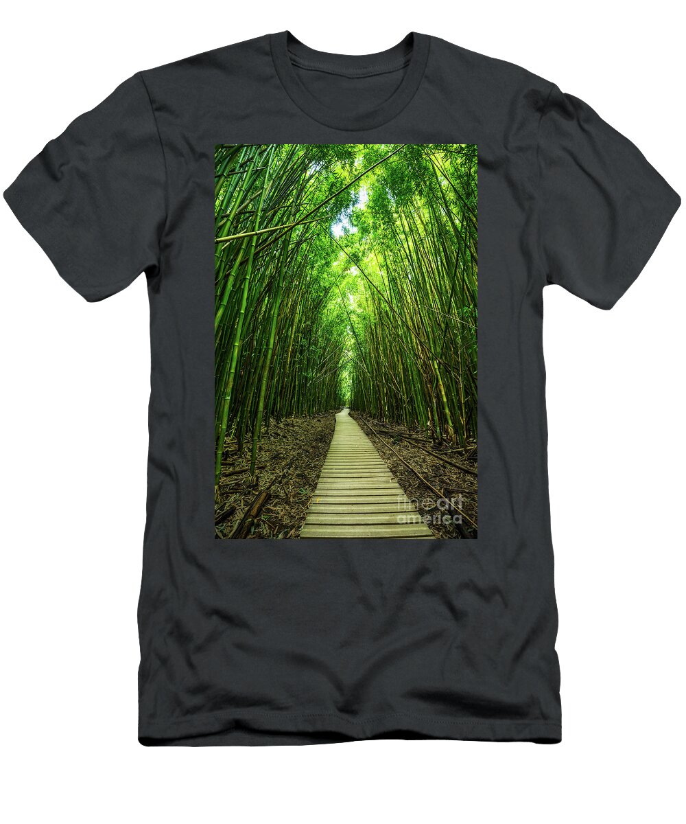 1 Bamboo Forest Jamie Pham T-Shirt