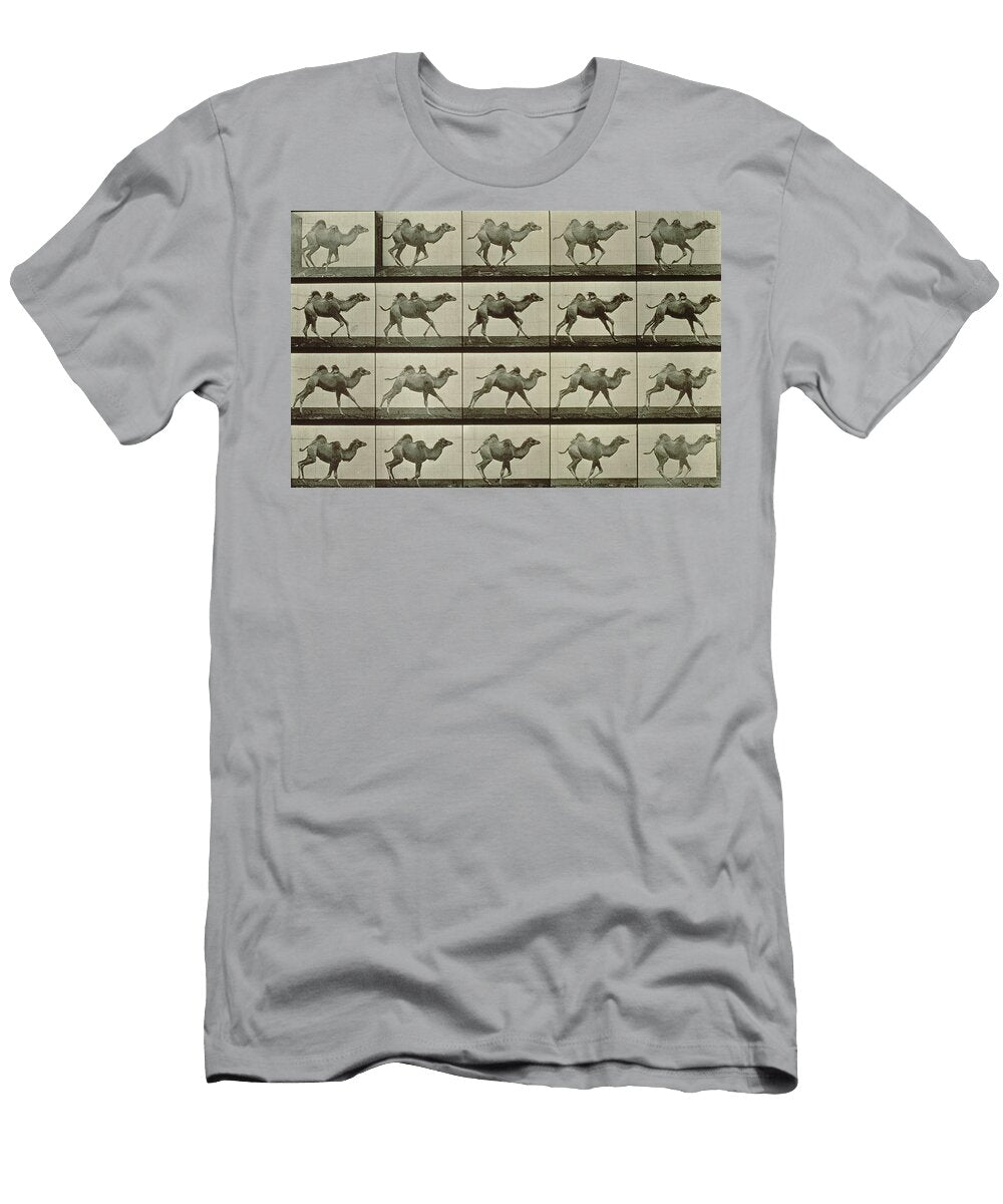 1 Camel Eadweard Muybridge T-Shirt