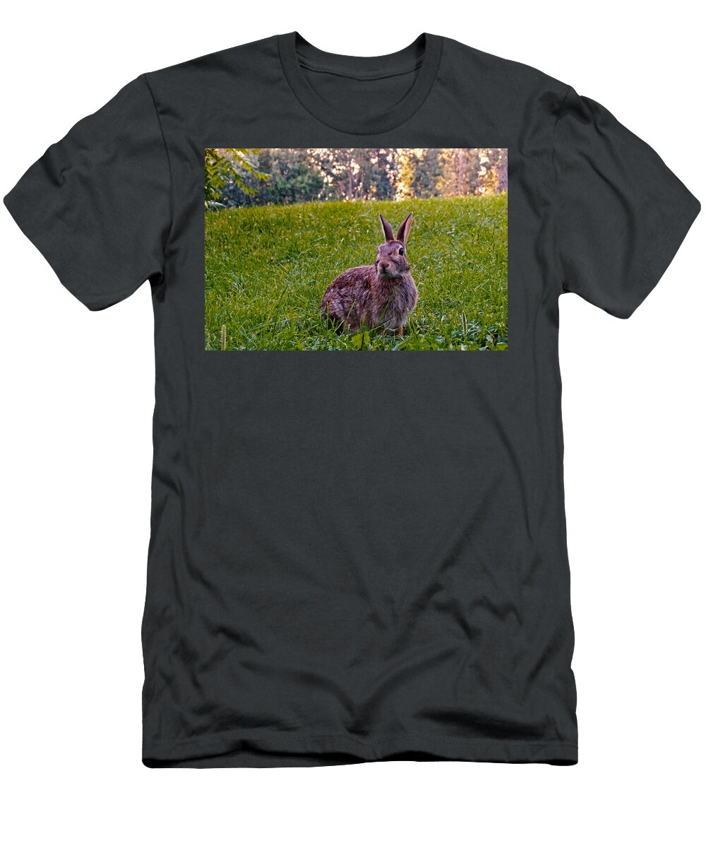 1 Earth Day Asbed Iskedjian T-Shirt