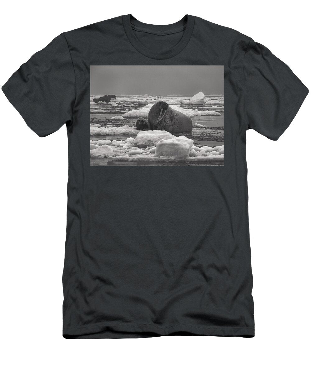 1 Female Walrus and Pup U S G S Sarah Sonsthagen T-Shirt