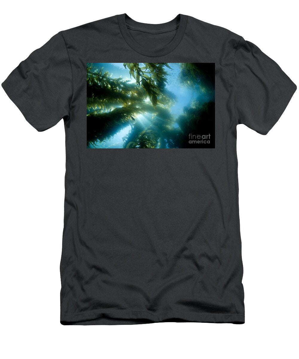 1 Giant Kelp Forest Dave Fleetham T-Shirt