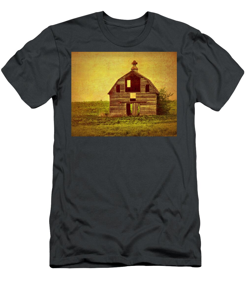 1 Let the Sunshine in Nikolyn Mcdonald T-Shirt