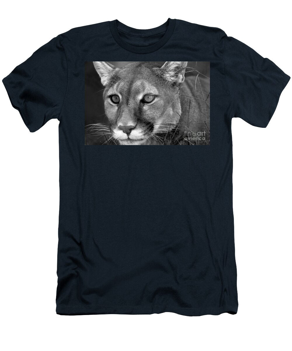 1 Mountain Lion Brandon Alms T-Shirt