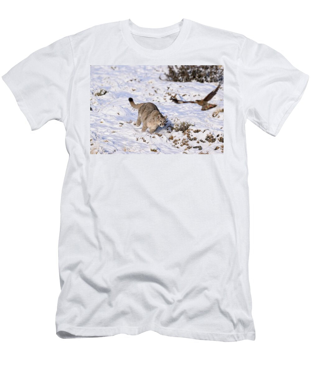1 Puma Cub Aged Nine Months Chasing Scavenging Nick Garbutt Natureplcom T-Shirt