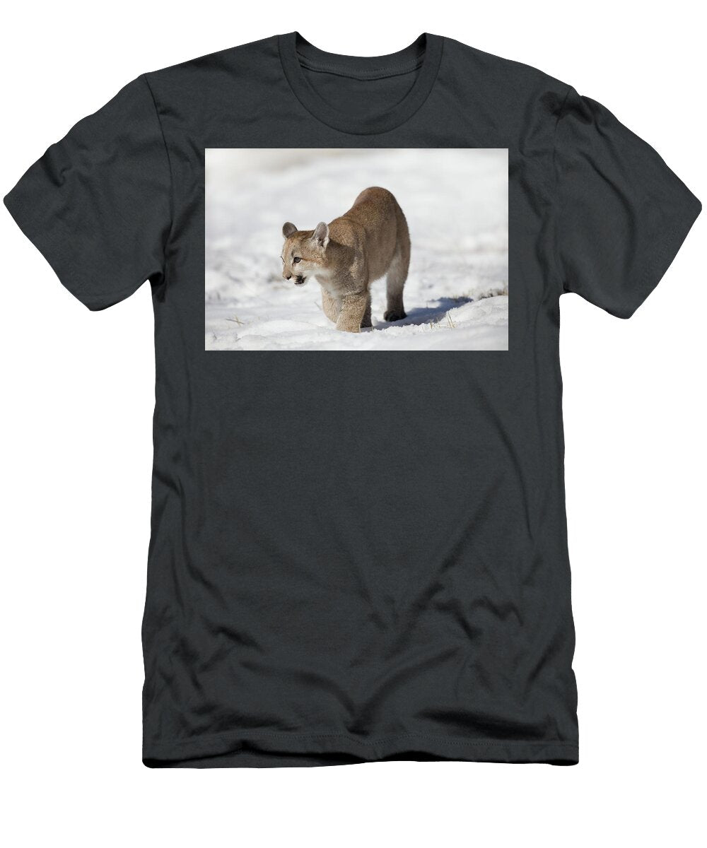 1 Puma Cub David Garcia Costas T-Shirt