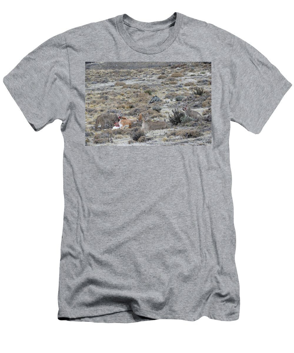 1 Puma Female with Cubs Aged Six Months Feeding on Guanaco Nick Garbutt Natureplcom T-Shirt