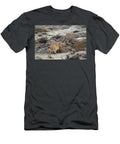 1 Two Pumas Females Fighting Over Prey One in Submissive Nick Garbutt Natureplcom T-Shirt