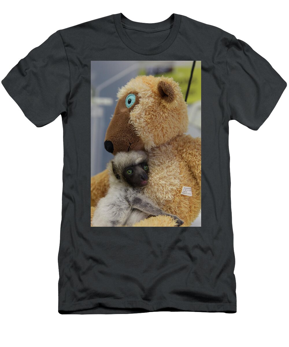 1 Verreauxs Sifaka Lemur Baby Called Tahina Aged Two Michael Hutchinson Natureplcom T-Shirt