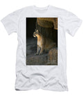 160115p154 Arterra Picture Library T-Shirt