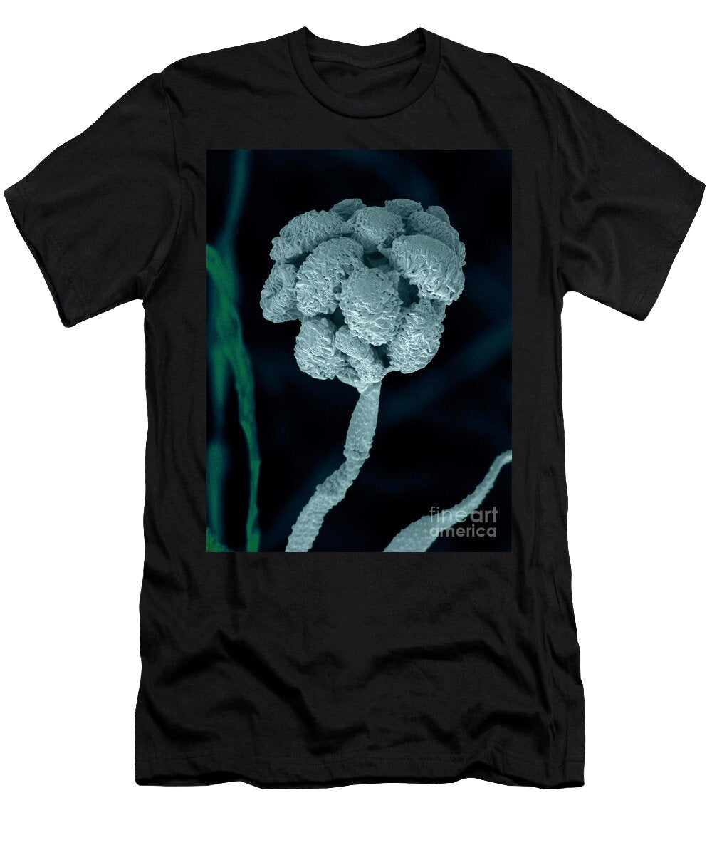 18 Stachybotrys Chartarum Scimat T-Shirt