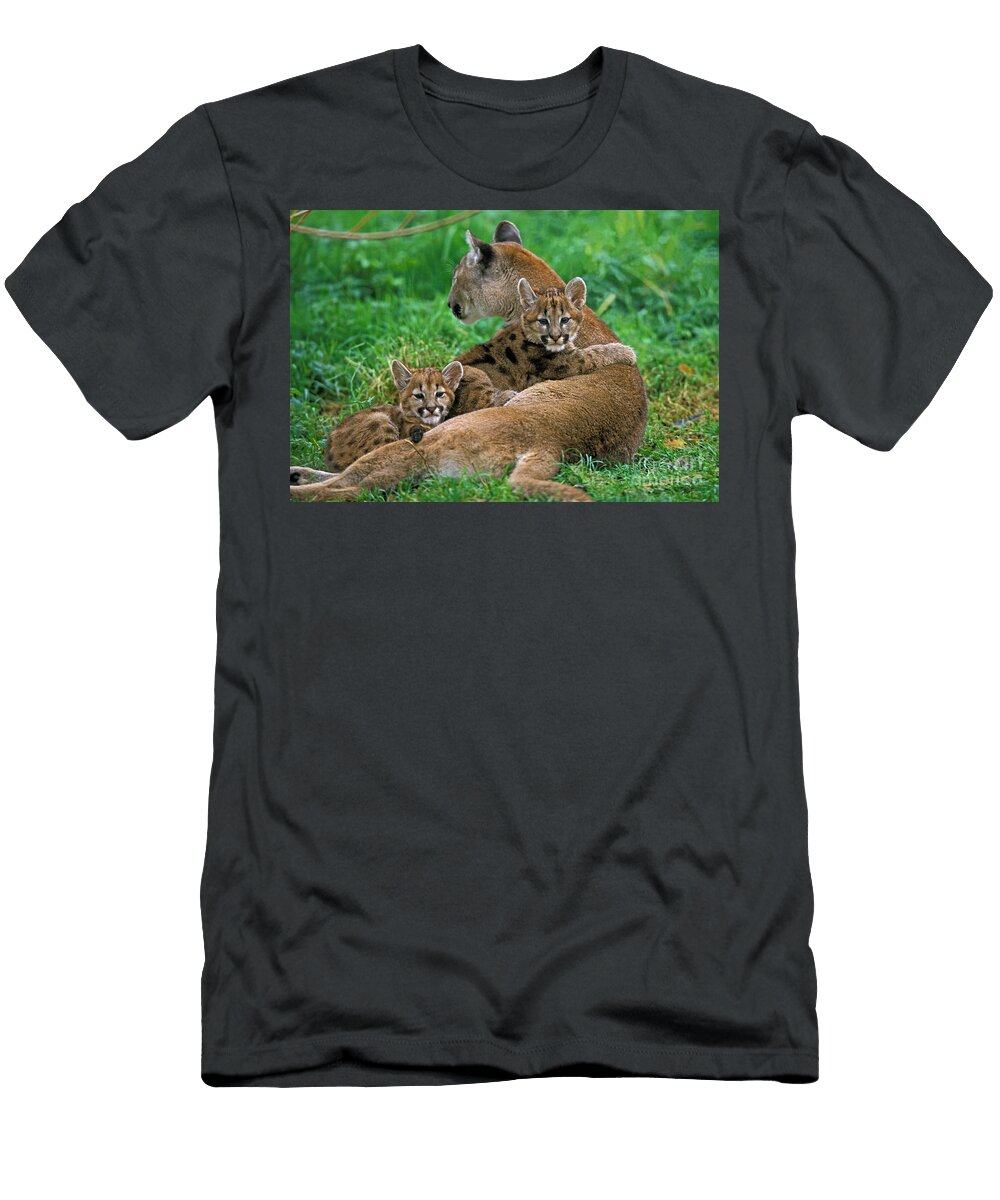 2 Cougar Puma Concolor Gerard Lacz T-Shirt