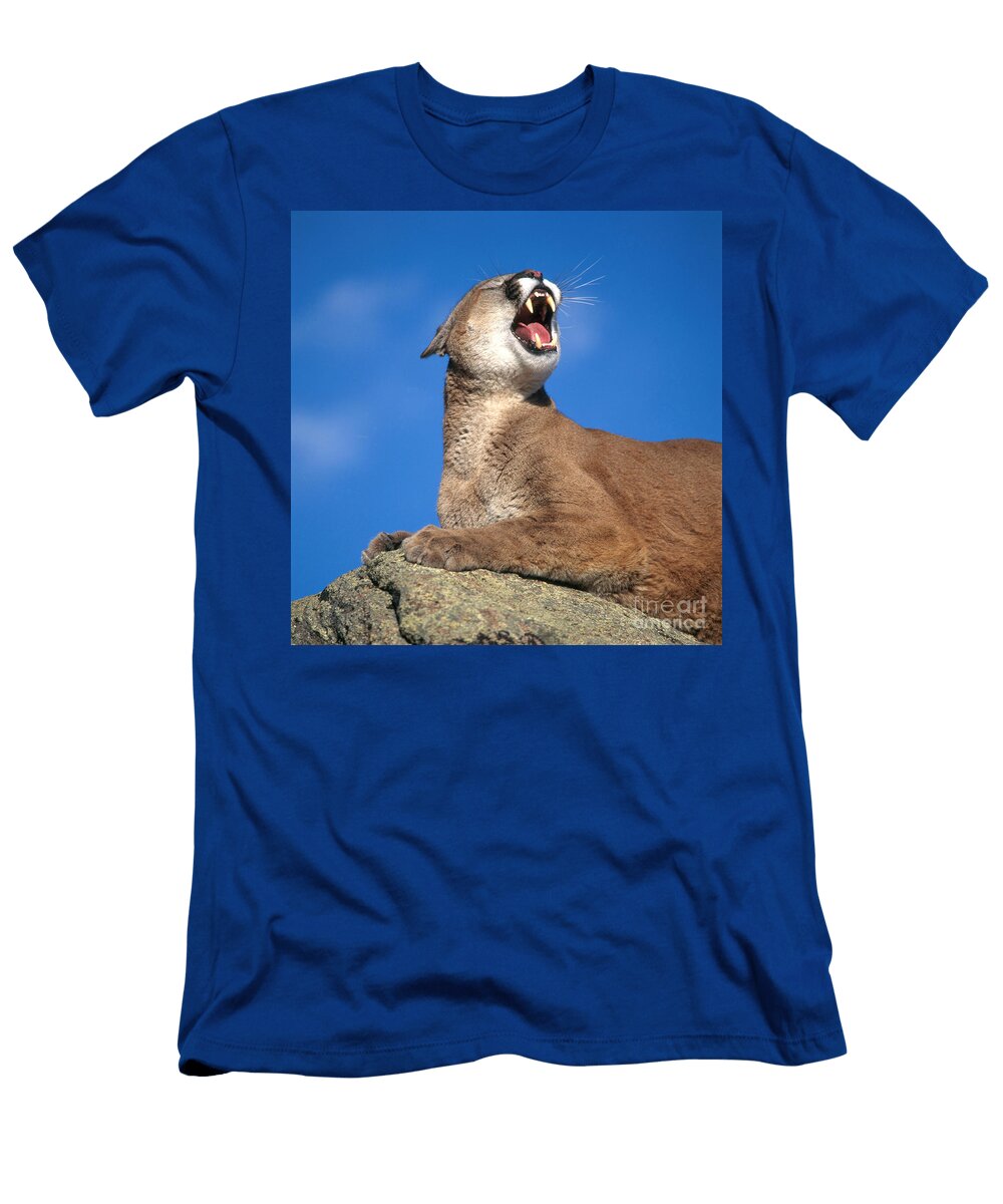 2 Mountain Lion Hans Reinhard T-Shirt