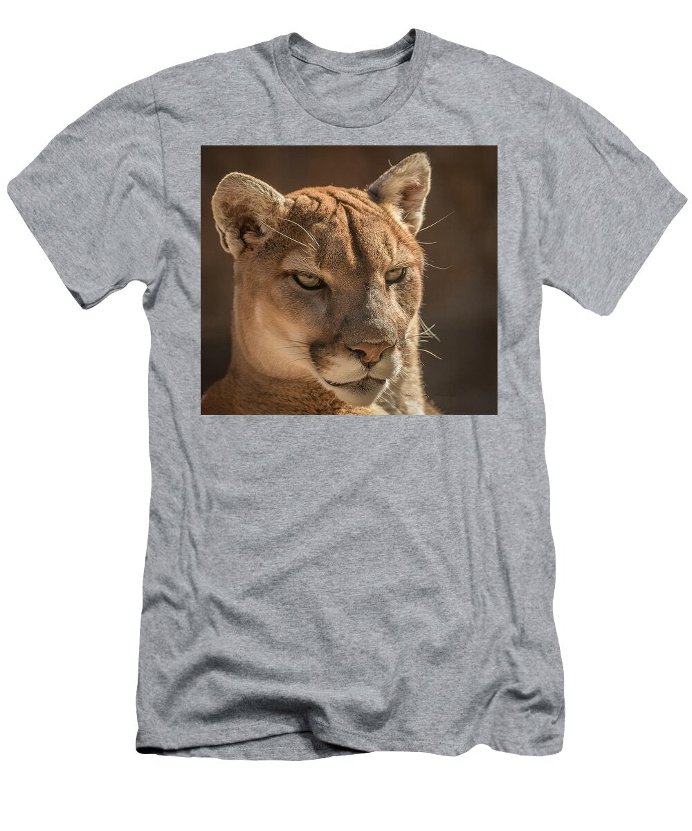 2 Puma David Pine T-Shirt