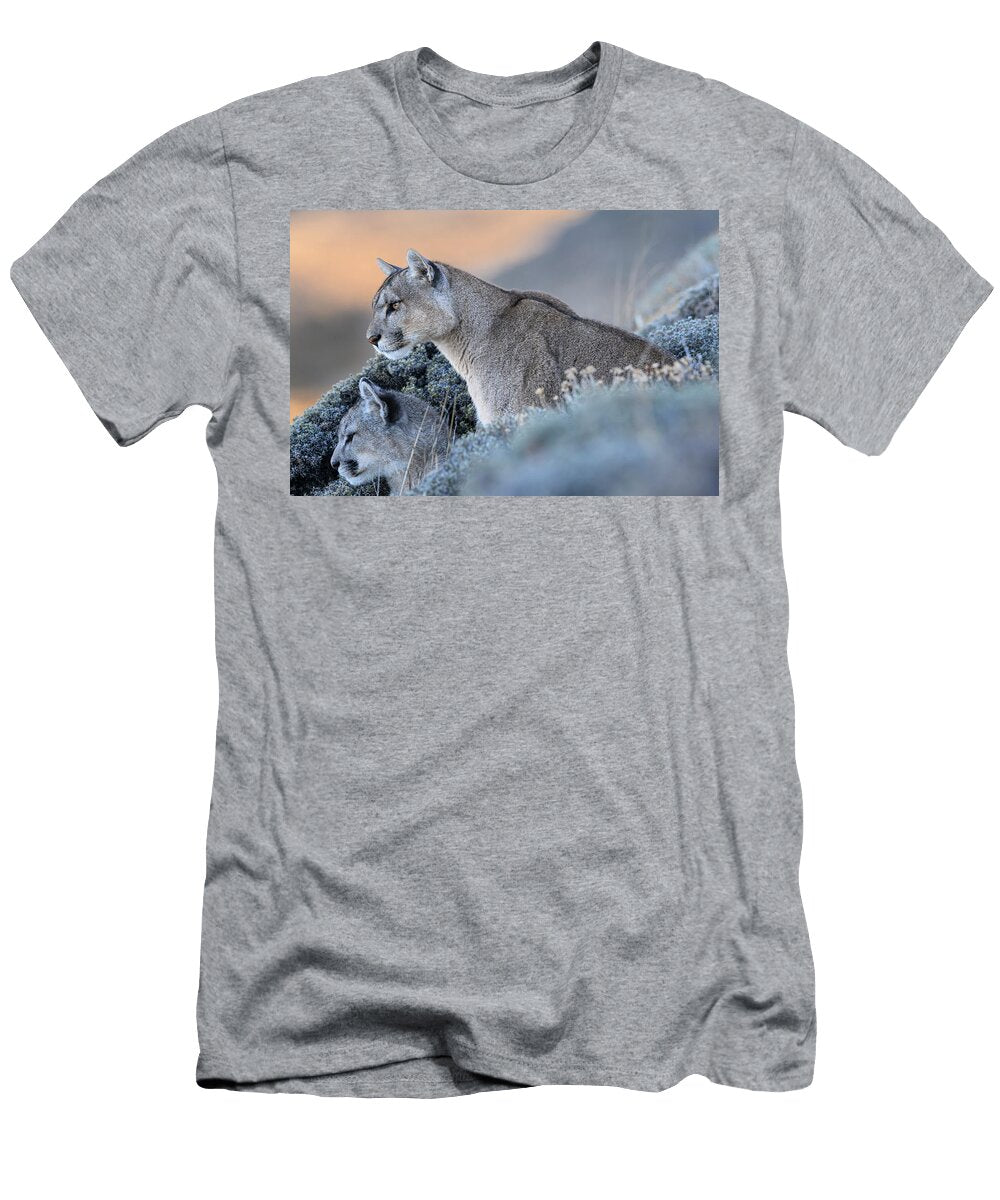 2 Puma Female with Cub Aged Six Months Sitting on Hillside Nick Garbutt Natureplcom T-Shirt