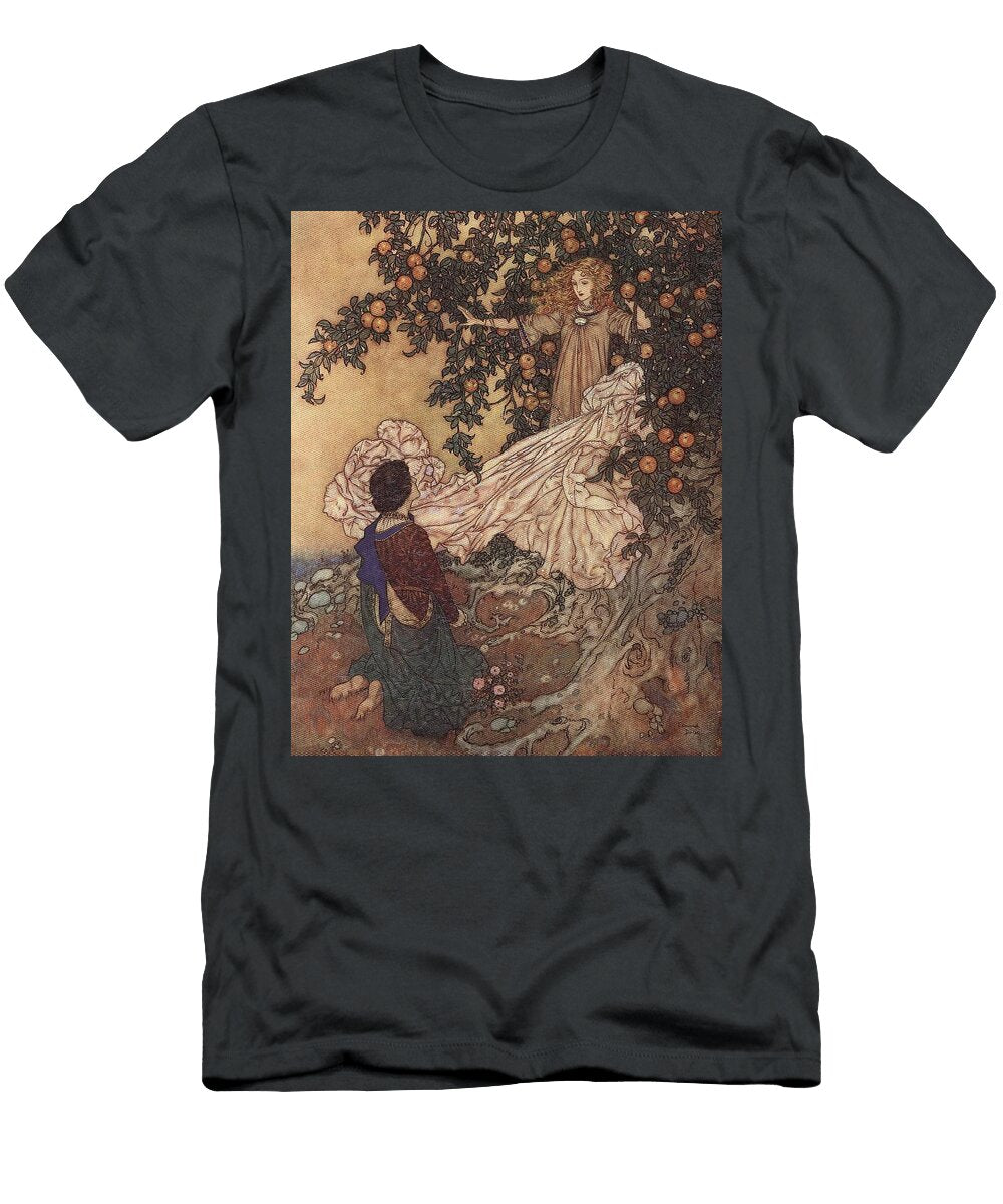 2 the Garden of Paradise Pl Edmund Dulac French T-Shirt