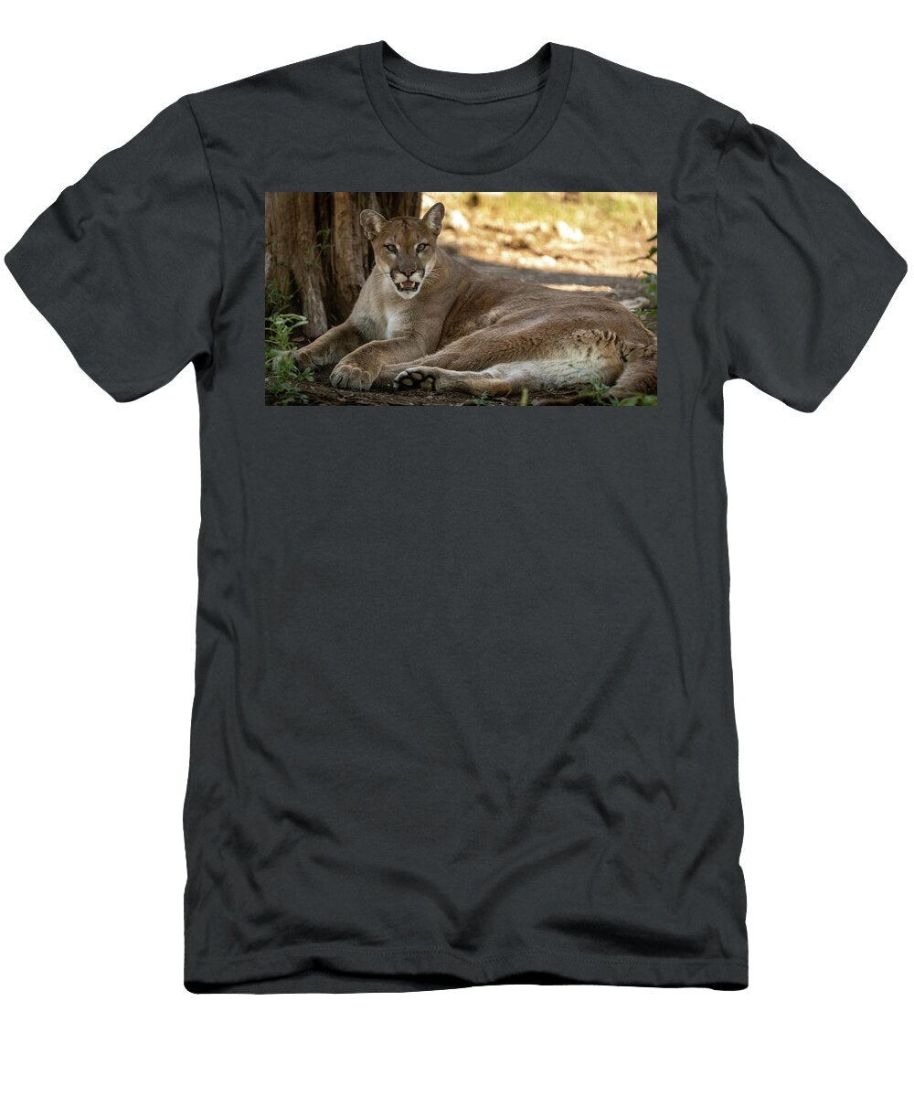 20 Puma David Pine T-Shirt