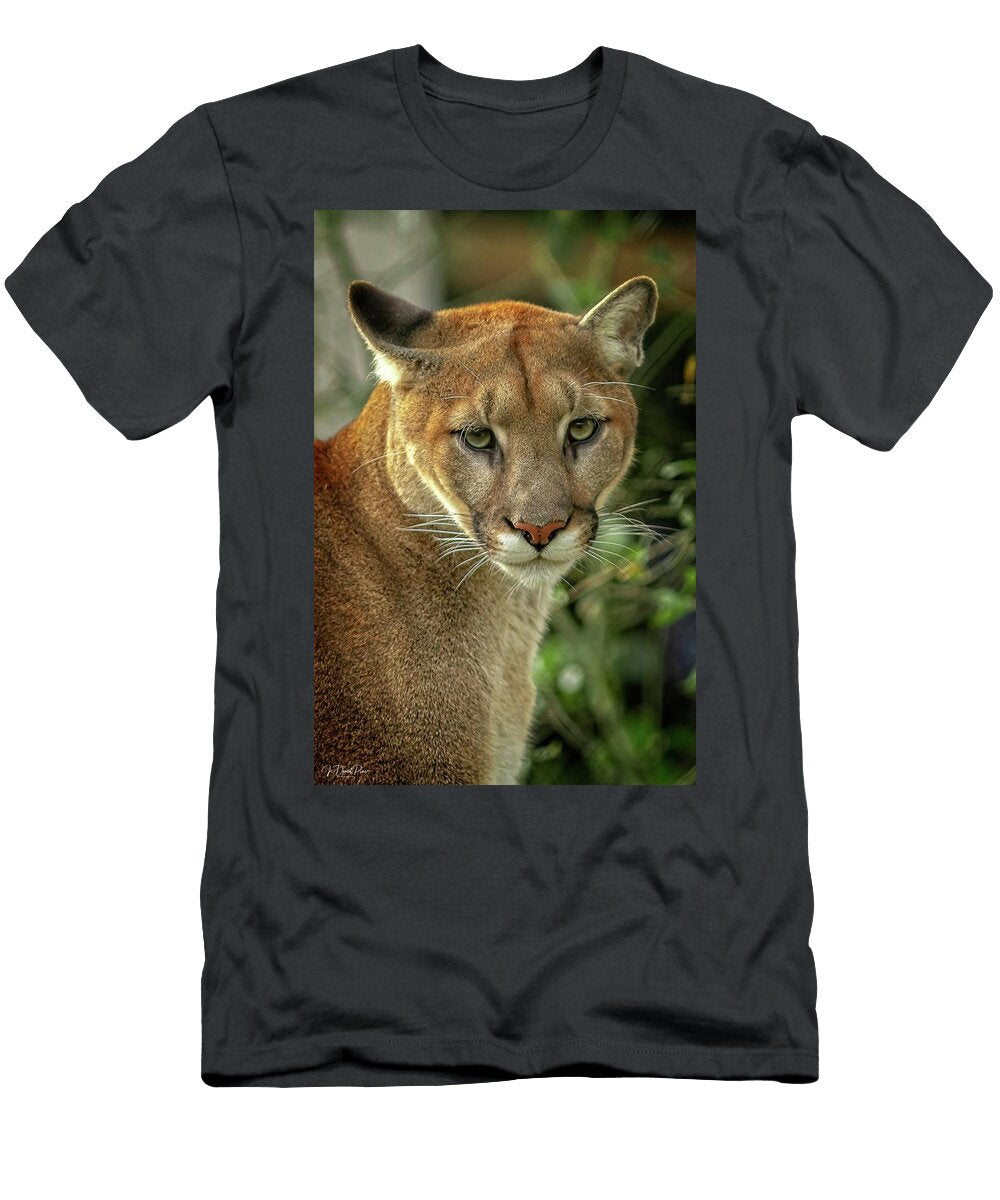 22 Puma David Pine T-Shirt