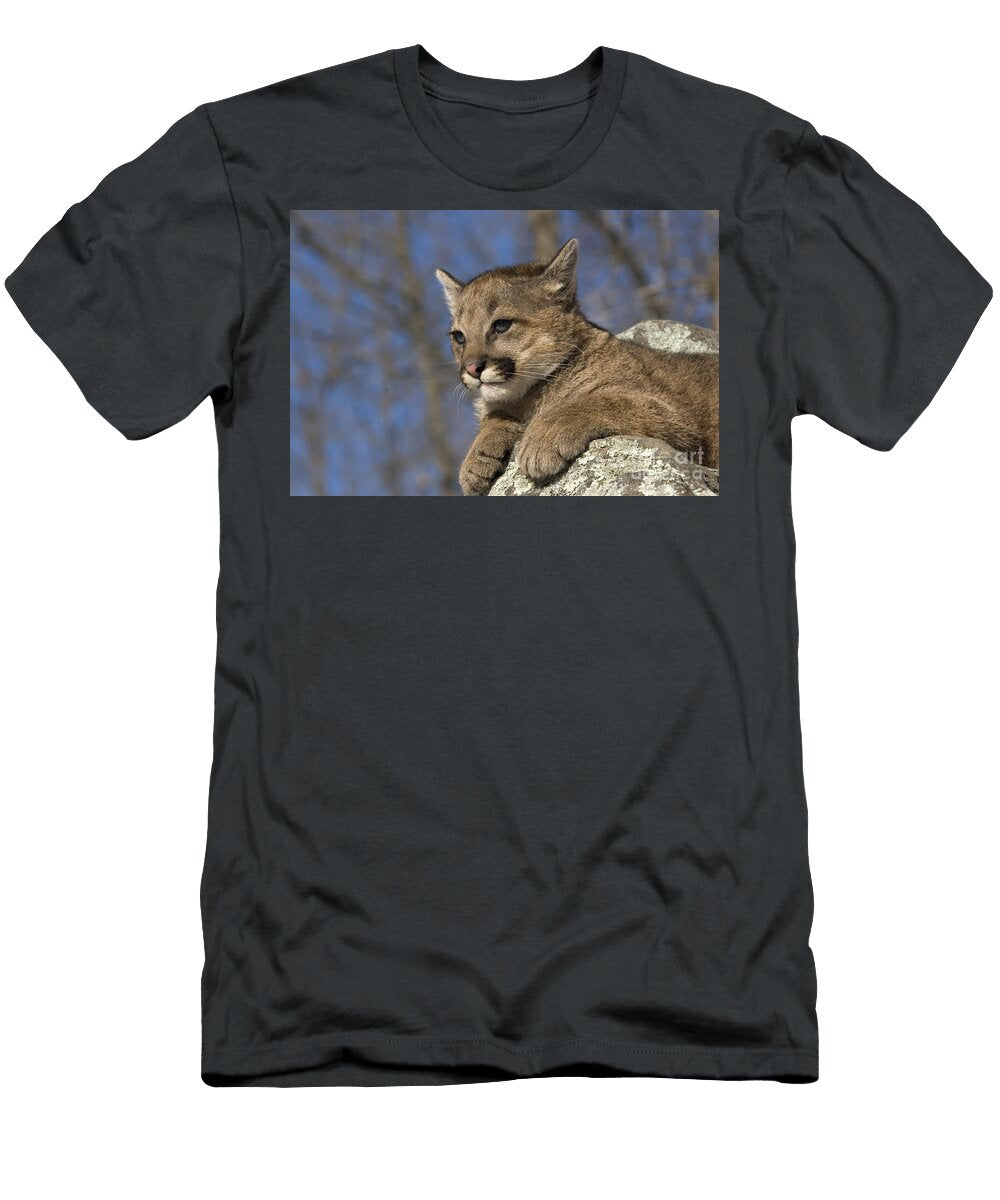 3 Cougar Cub Linda Freshwaters Arndt T-Shirt