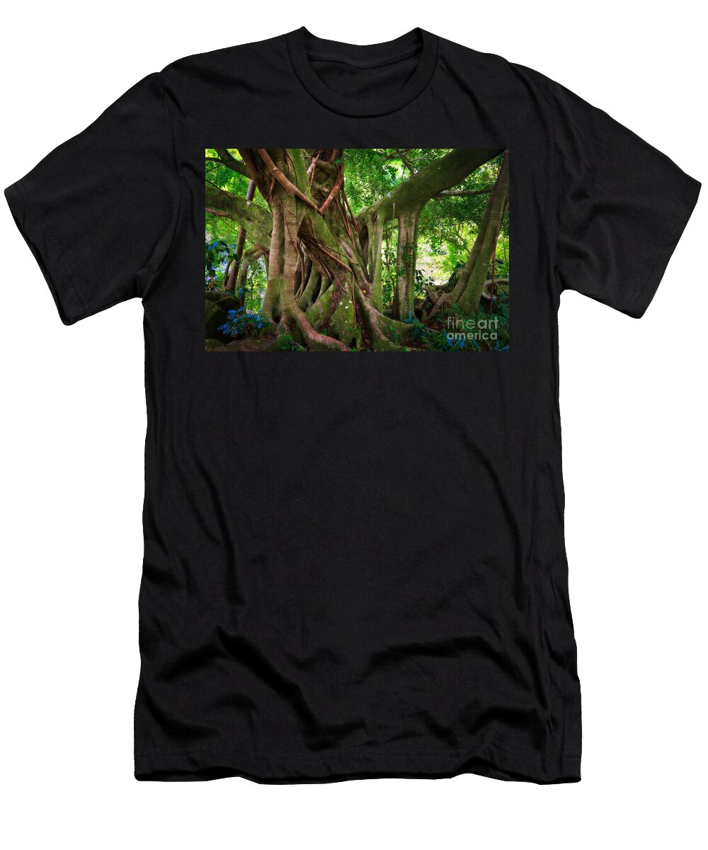 3 Kipahulu Banyan Tree Inge Johnsson T-Shirt
