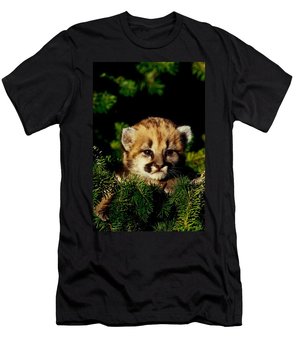 4 Cougar Cub Jeffrey Lepore T-Shirt