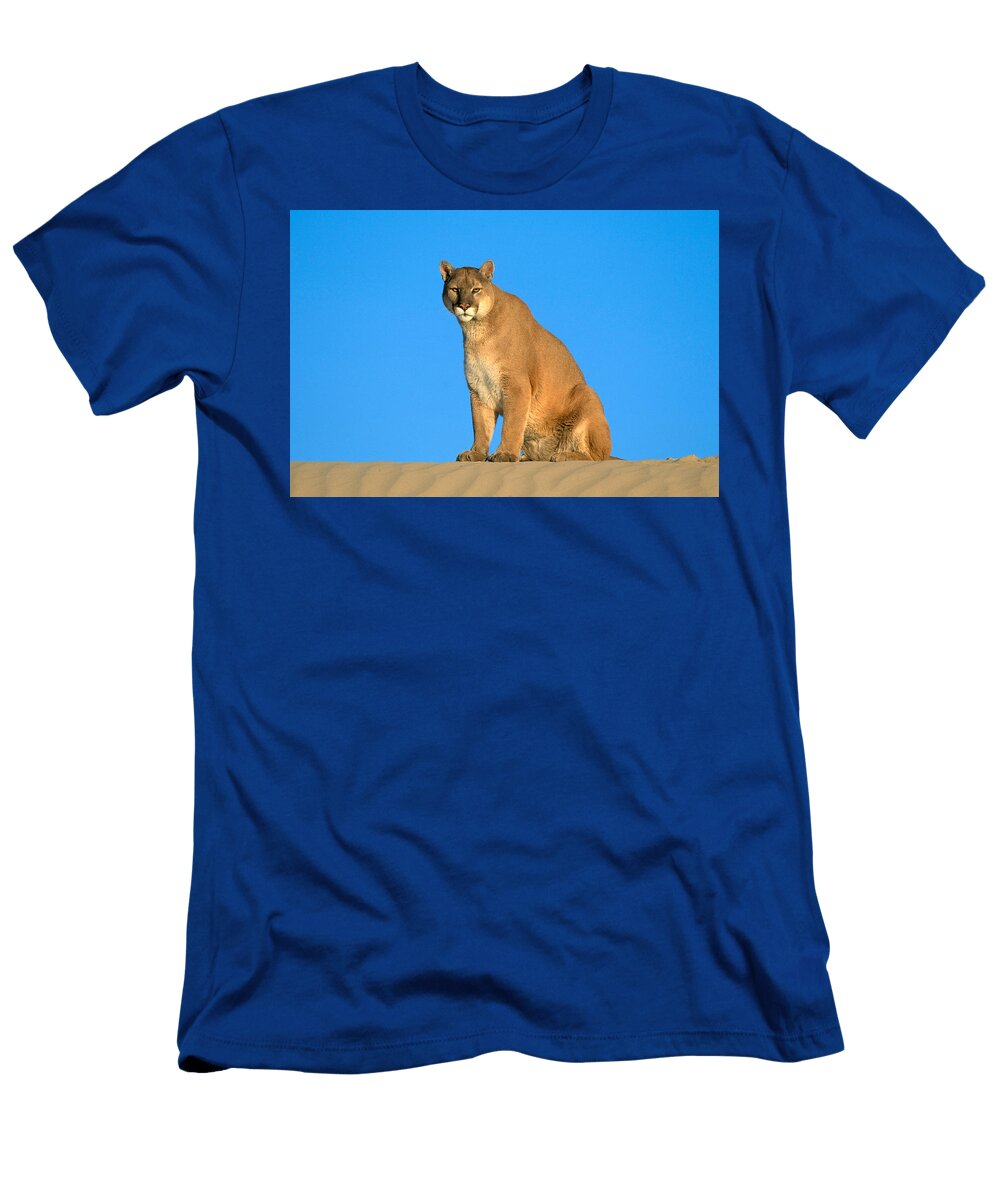 4 Mountain Lion Jeffrey Lepore T-Shirt