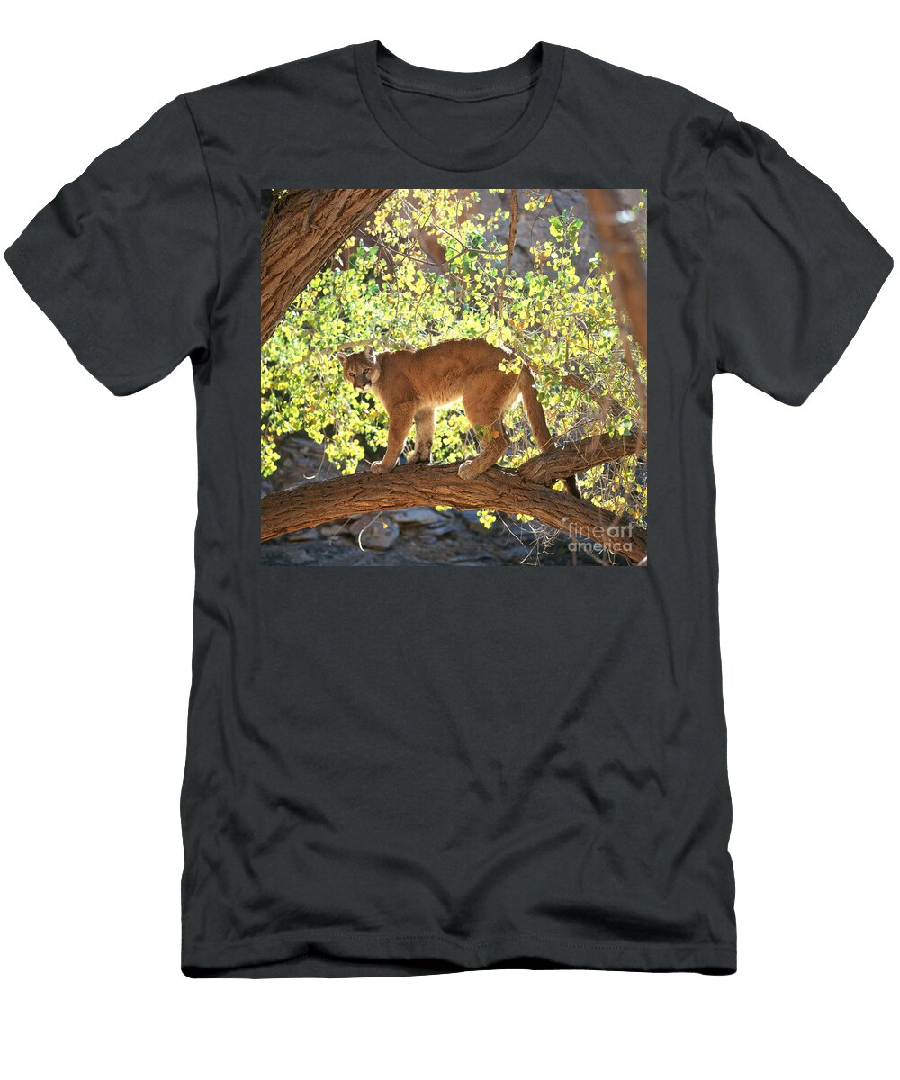 5 Mountain Lion Hans Reinhard T-Shirt