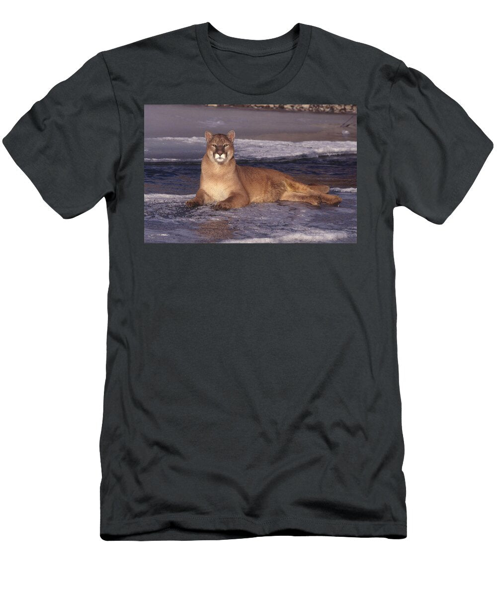 5 Mountain Lion Jeffrey Lepore T-Shirt