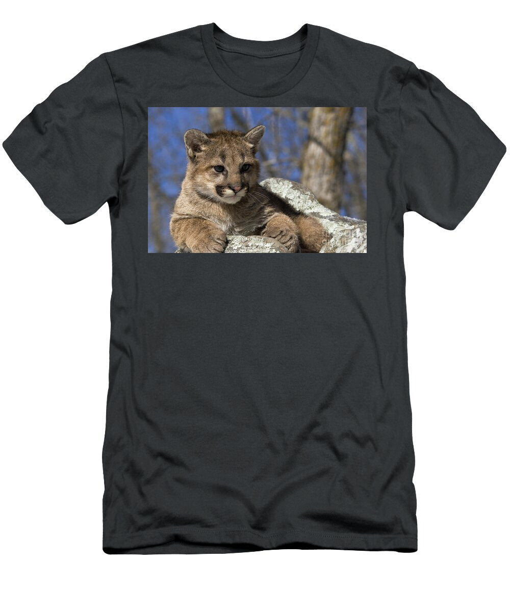 6 Cougar Cub Linda Freshwaters Arndt T-Shirt