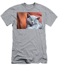7 Young Cute Cat Resting on Leather Sofa the British Shorthair Kitten with Blue Gray Fur Michal Bednarek T-Shirt
