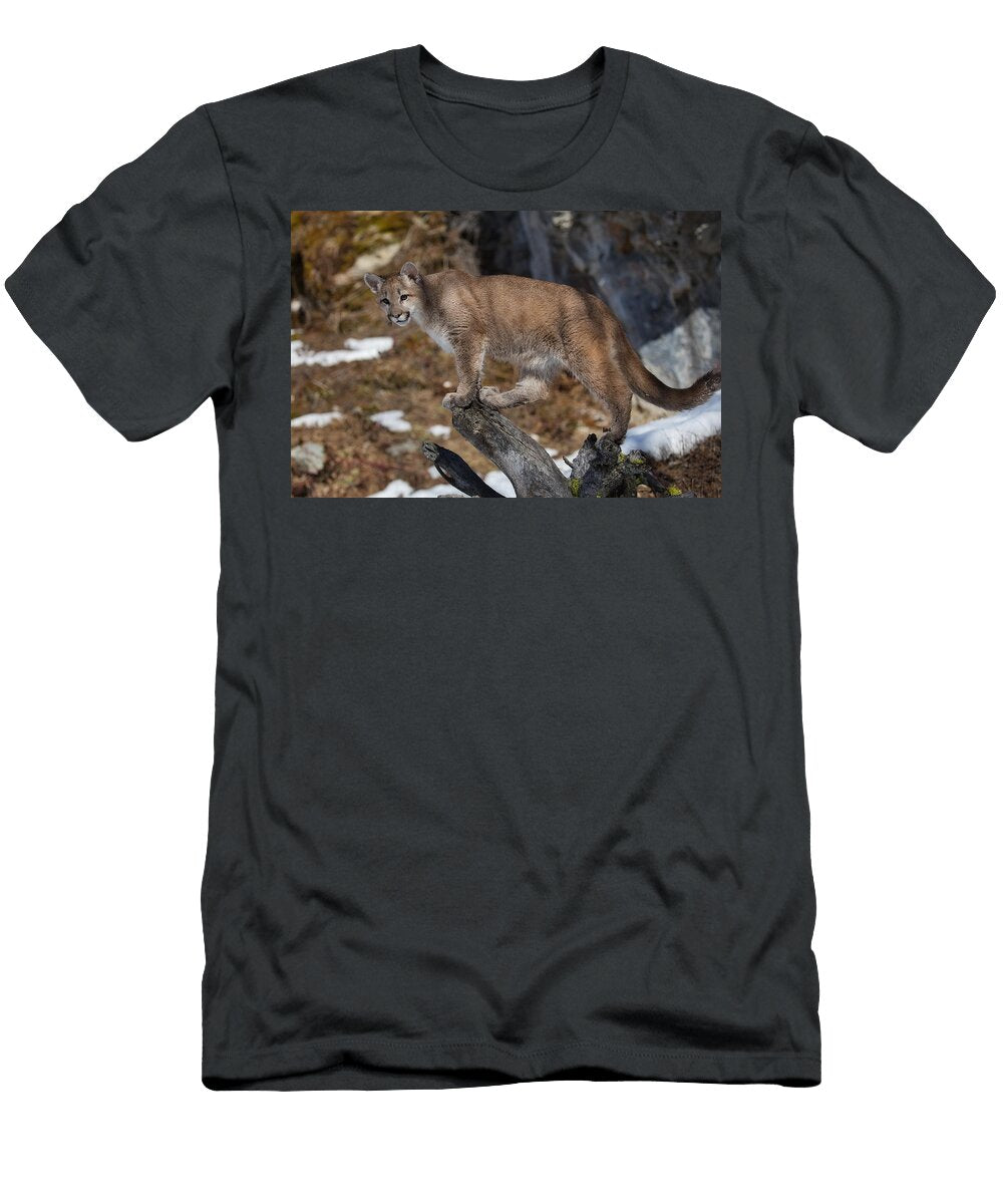 8 Puma Cub David Garcia T-Shirt