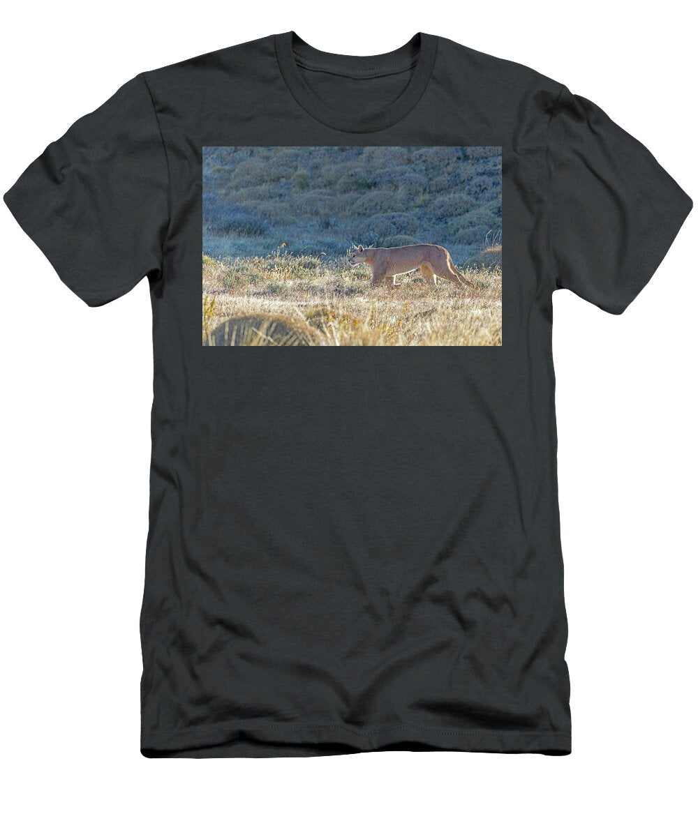 9 Puma Torres Del Paine National Park Jim Coda T-Shirt
