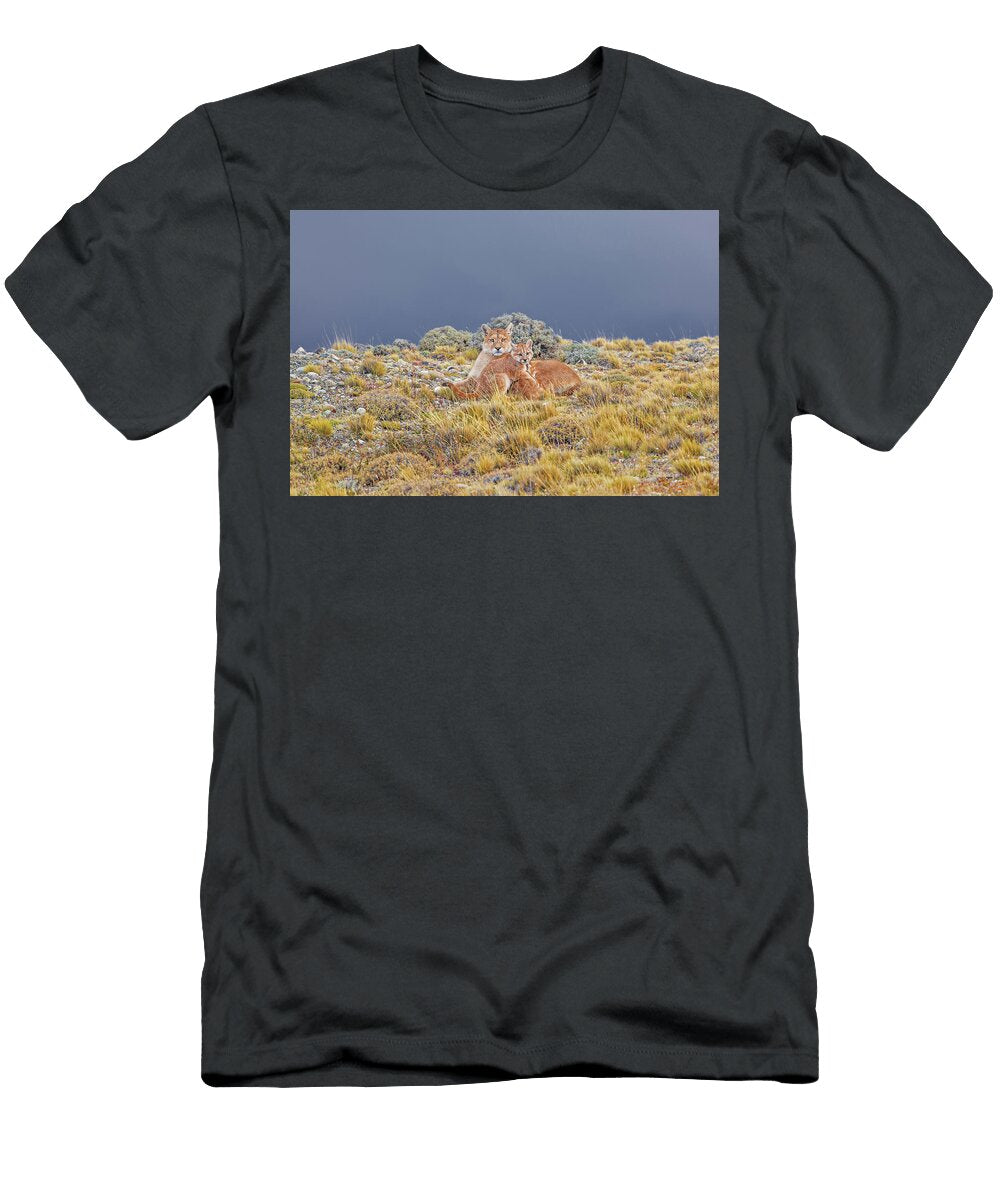 A Puma Mother and Two of Her Kittens Patagoniadf44 Jim Coda T-Shirt