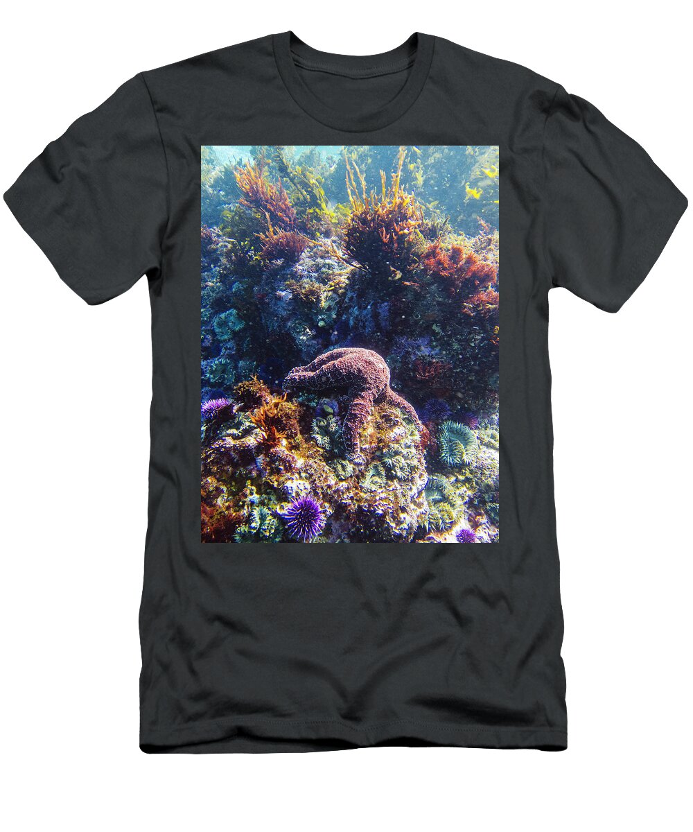 A Starfish Hugs a Rock in the Channel Keri Oberly T-Shirt