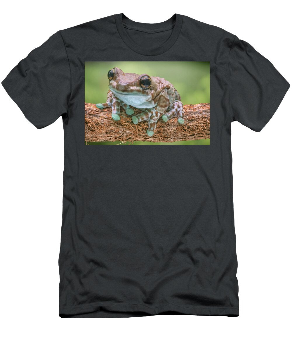 Amazon Milk Frog Nikolyn Mcdonald T-Shirt