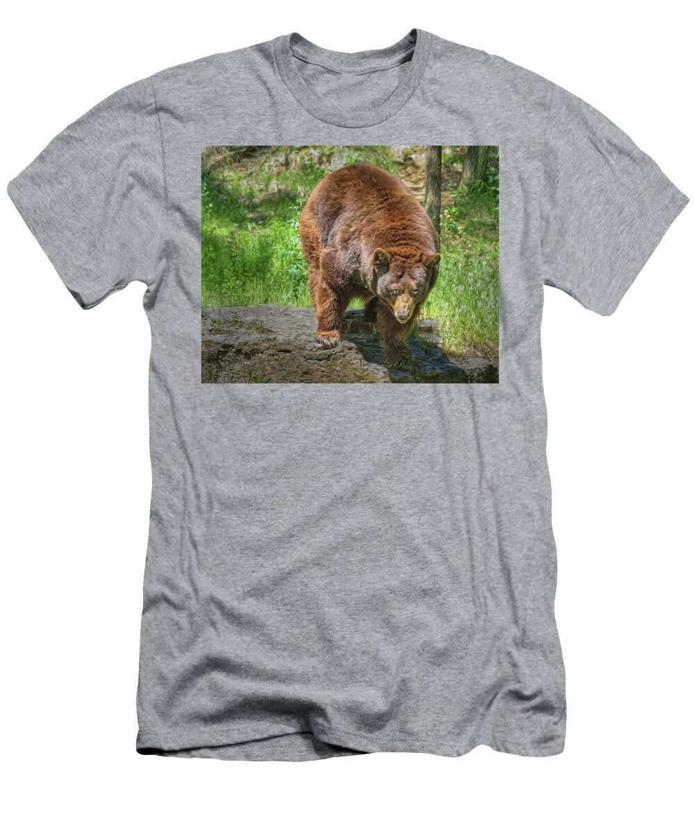 American Black Bear Nikolyn Mcdonald T-Shirt