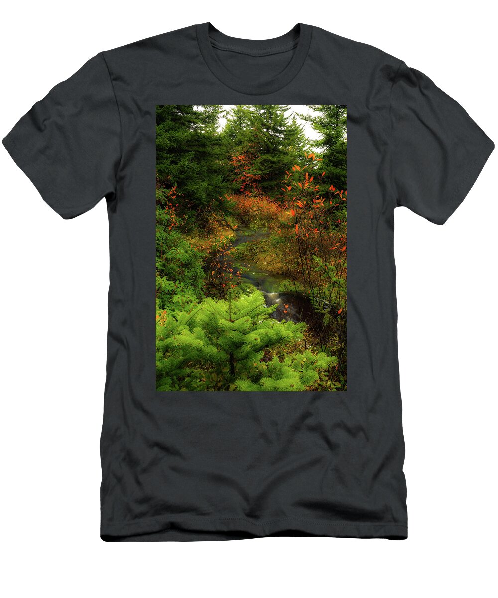 Autumn Rainy Day Jason Funk T-Shirt