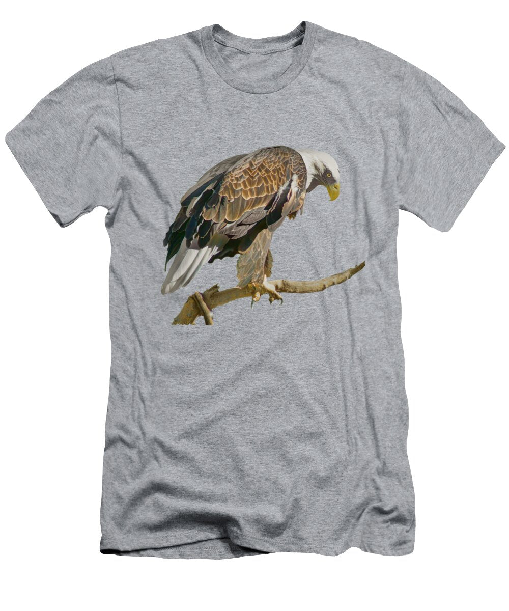 Bald Eagle Nikolyn Mcdonald T-Shirt
