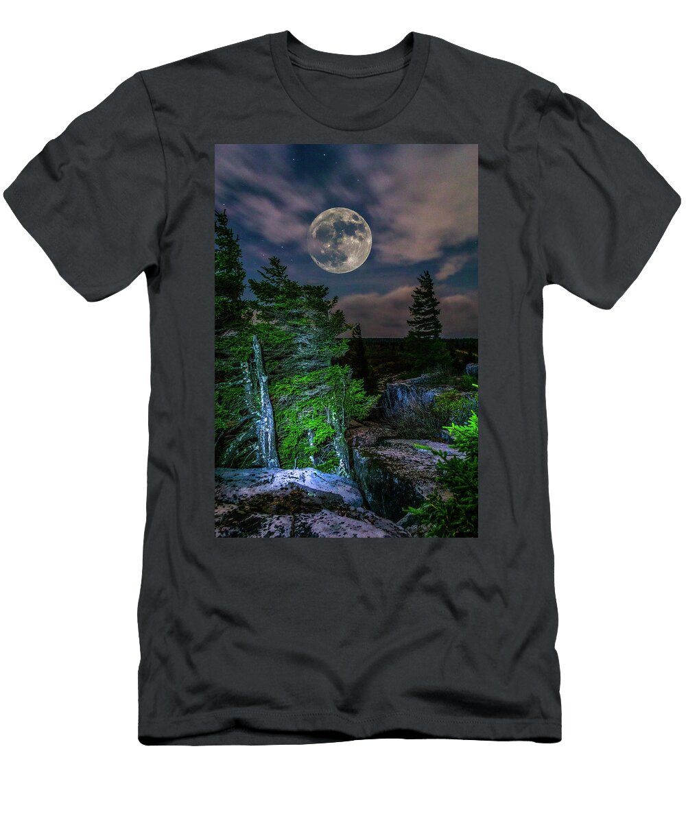 Bear Rocks Full Moon Jason Funk T-Shirt