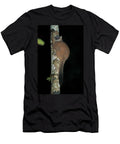 Betsileo Sportive Lemur Resting on Tree Trunk in Montane Nick Garbutt Natureplcom T-Shirt