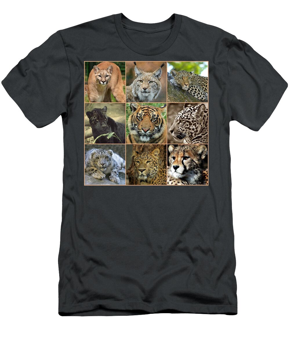 Big Cats Collage Les Classics T-Shirt