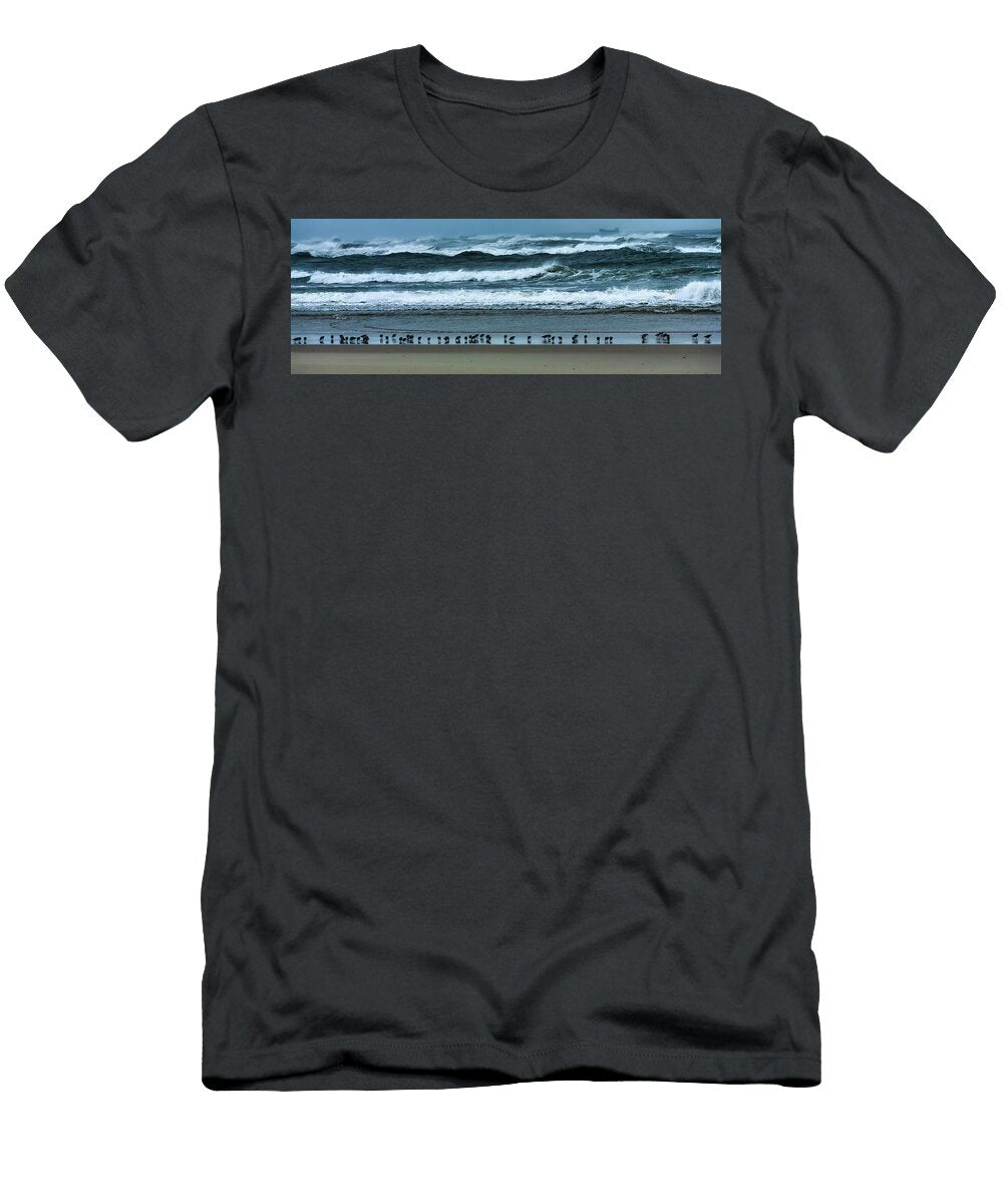 Birds on a Stormy Beach Panorama 606 Dan Carmichael T-Shirt