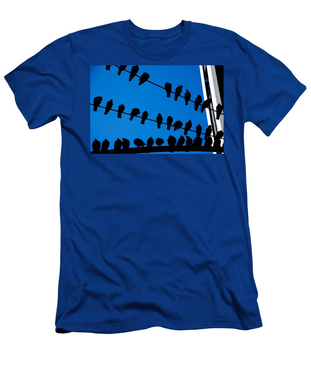Birds on a Wire Karol Livote T-Shirt