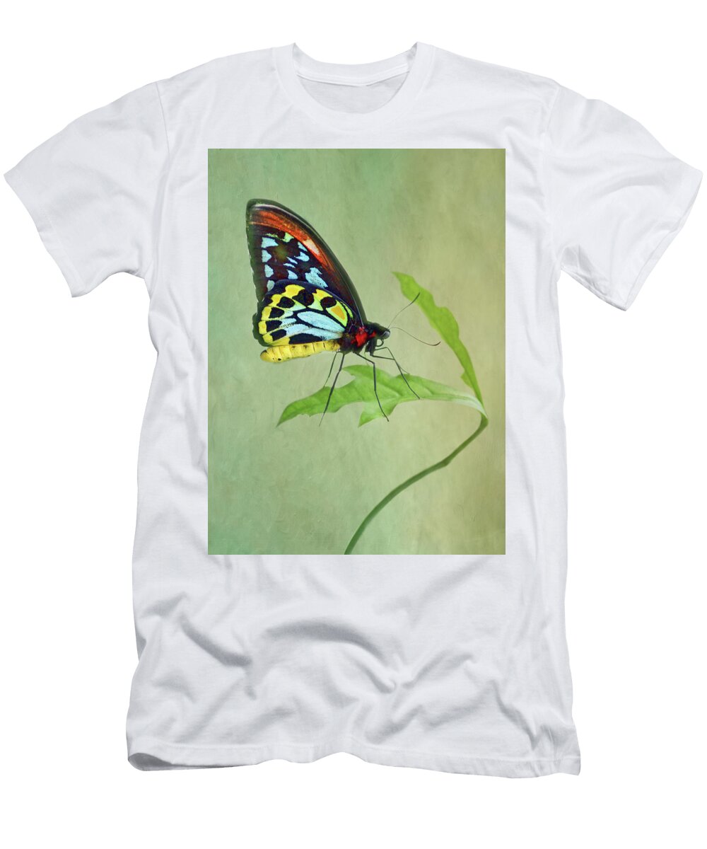 Birdwing Butterfly on Leaf Nikolyn Mcdonald T-Shirt