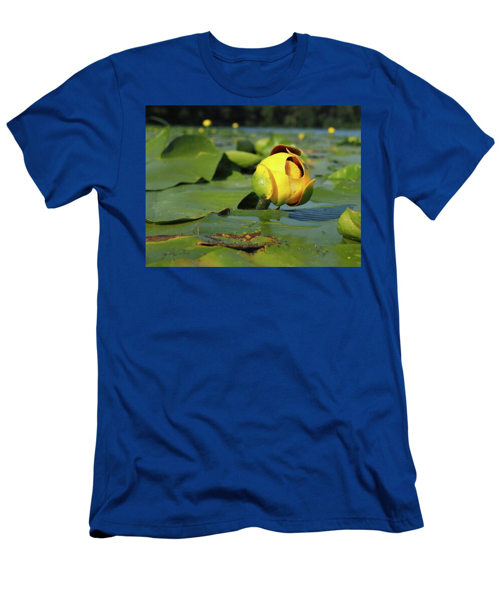 Bullhead Lily James Peterson T-Shirt