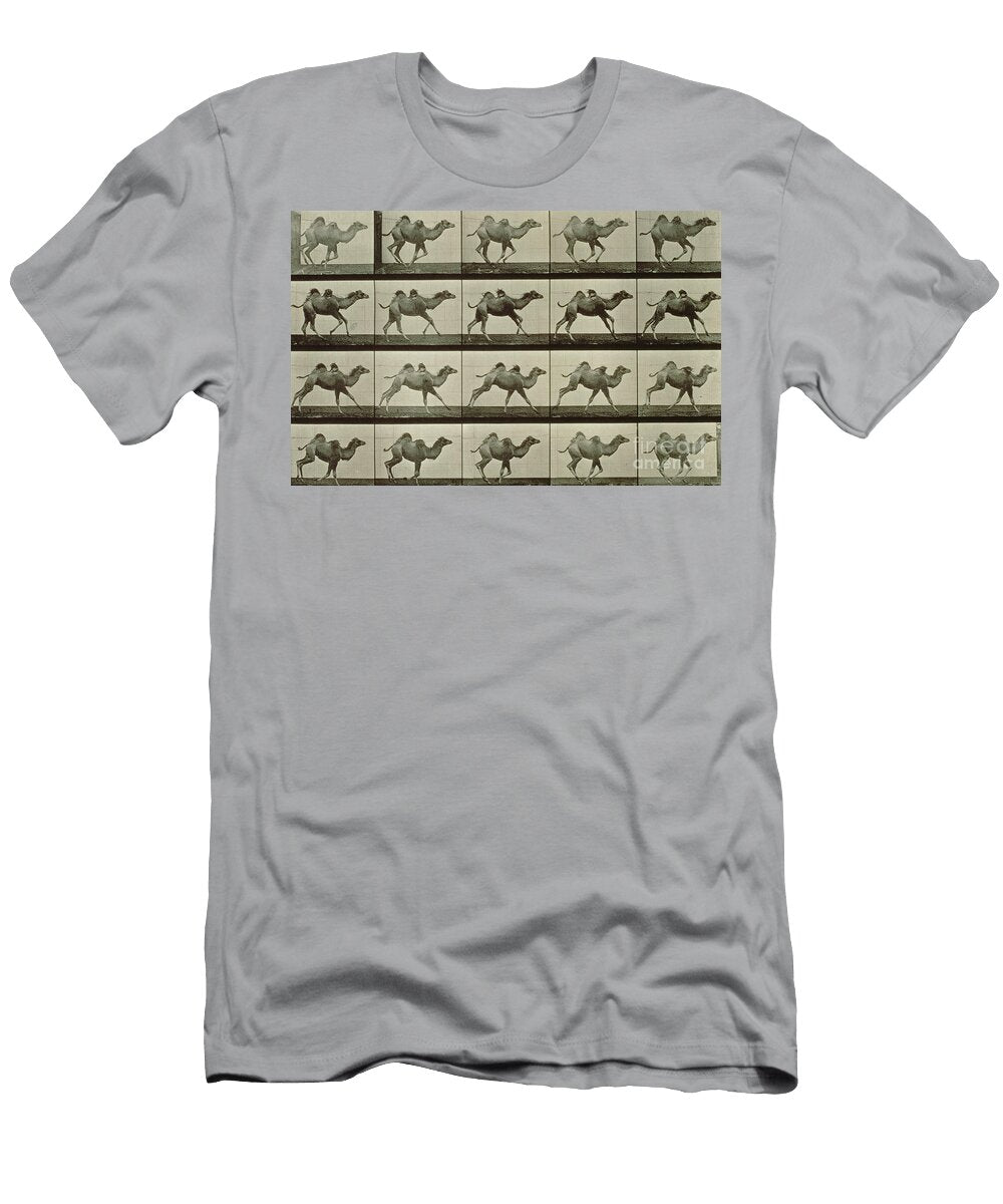 Camel Eadweard Muybridge T-Shirt