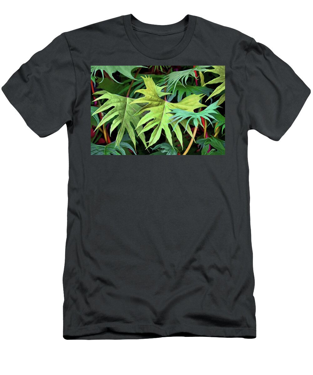 Cardinal Vine Leaf Abstract Nikolyn Mcdonald T-Shirt