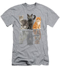 Cats Reflection Mirror Puma Cheetah Tiger Funny Cat Lover Bupem Koden T-Shirt