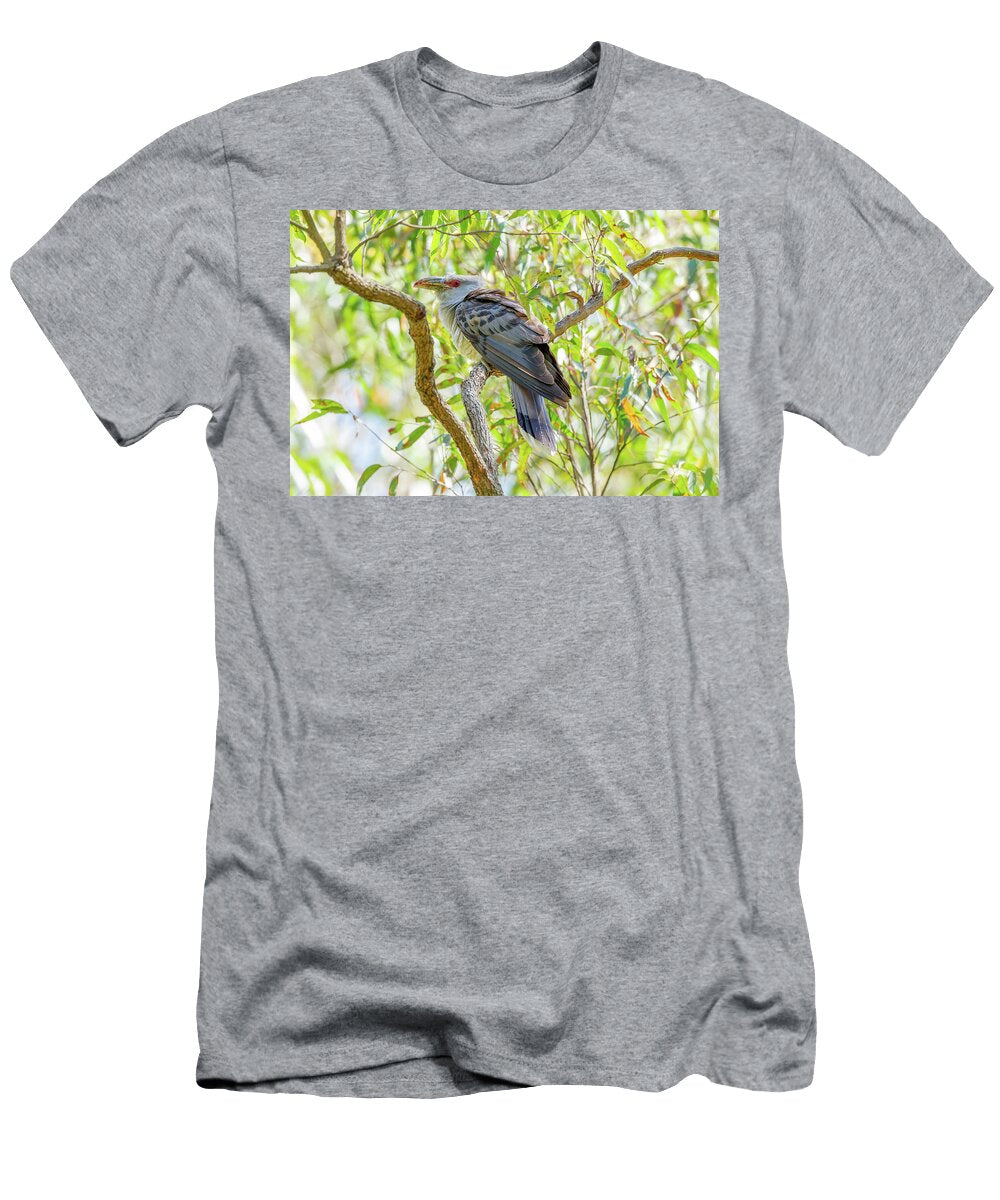 Channel Billed Cuckoo Perching in a Tree a Seasonal Summer Bruce Thomson Natureplcom T-Shirt