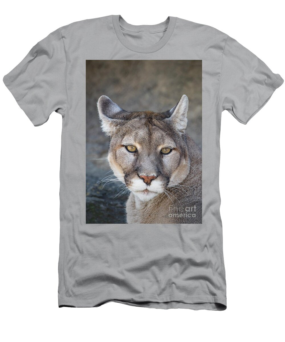 Closeup Mountain Lion Portrait Brandon Alms T-Shirt